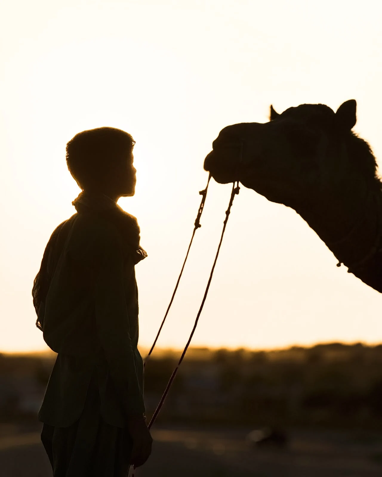 A camel and its handler silhouetted against the desert sky