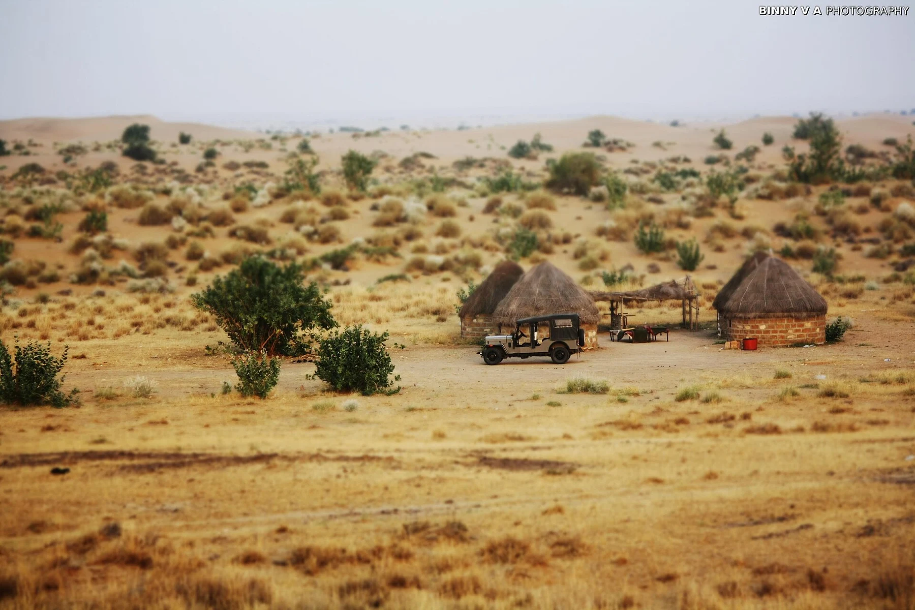 Offbeat Safari